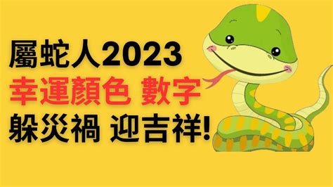 2023屬蛇忌顏色